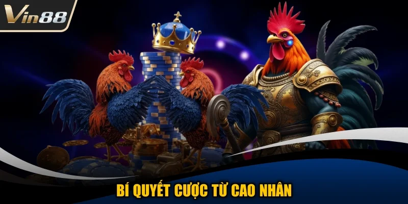 Bí quyết cược từ cao nhân