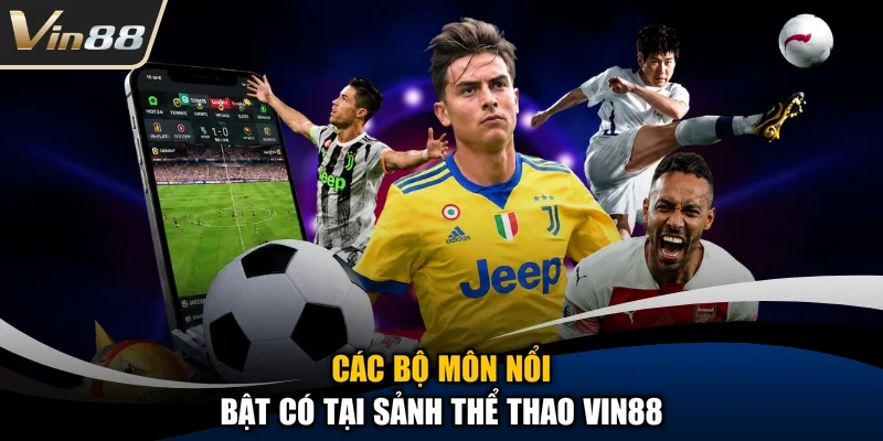 Các bộ môn nổi bật có tại sảnh thể thao Vin88