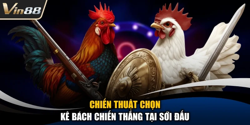 Chiến thuật chọn kê bách chiến thắng tại sới đấu