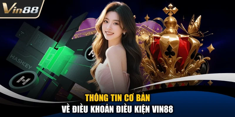Thông tin cơ bản về điều khoản điều kiện Vin88
